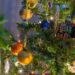 What Tree Makes the Best Christmas Tree for a Beautiful and Easy Holiday Decor