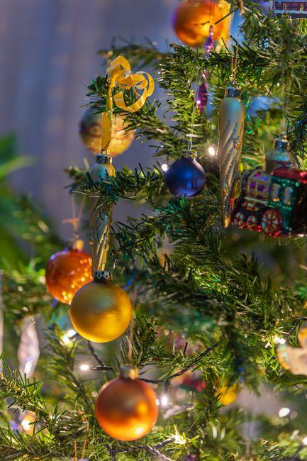 What Tree Makes the Best Christmas Tree for a Beautiful and Easy Holiday Decor