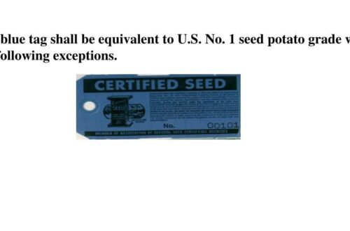 Best Seed Potatoes – Yukon Gold Non-GMO Blue Tag Certified Review