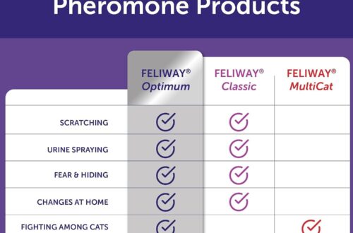 Best Cat Calming Diffuser – FELIWAY Optimum Diffuser Review