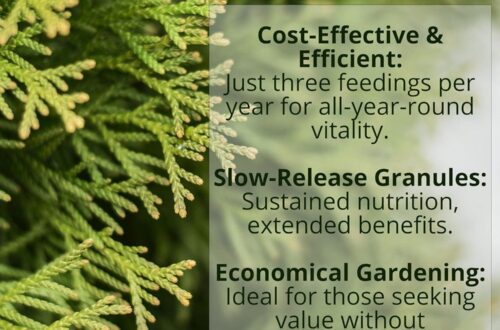 Best Garden Fertilizer – GARDENWISE 8-4-8 for Acid-Loving Plants Review
