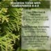 Best Garden Fertilizer – GARDENWISE 8-4-8 for Acid-Loving Plants Review