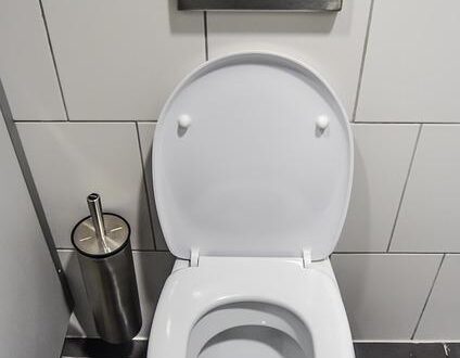 What Toilets Are the Best for a Comfortable and Reliable Bathroom Upgrade