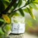 What is the best outdoor mosquito repellent for a bug-free, comfortable backyard experience
