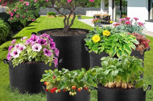 Best Gardening Accessories – Jorvila 5 Gallon Grow Bags with Handles Review