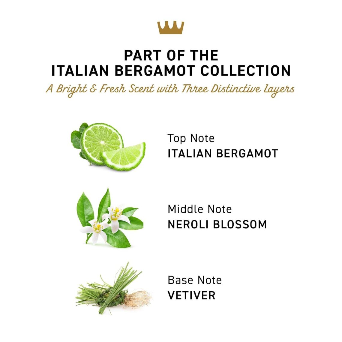 Best Men’s Deodorant – Cremo Italian Bergamot Long Lasting Odor Protection