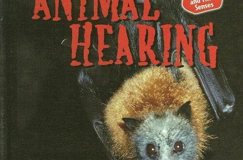 Best Animal Hearing Devices – Animals And Their Senses Review
