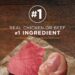 Best Wet Dog Food – Purina ONE Classic Ground Chicken & Beef Review