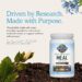Best Protein Powder – Garden of Life Raw Organic Meal Replacement Shake Review