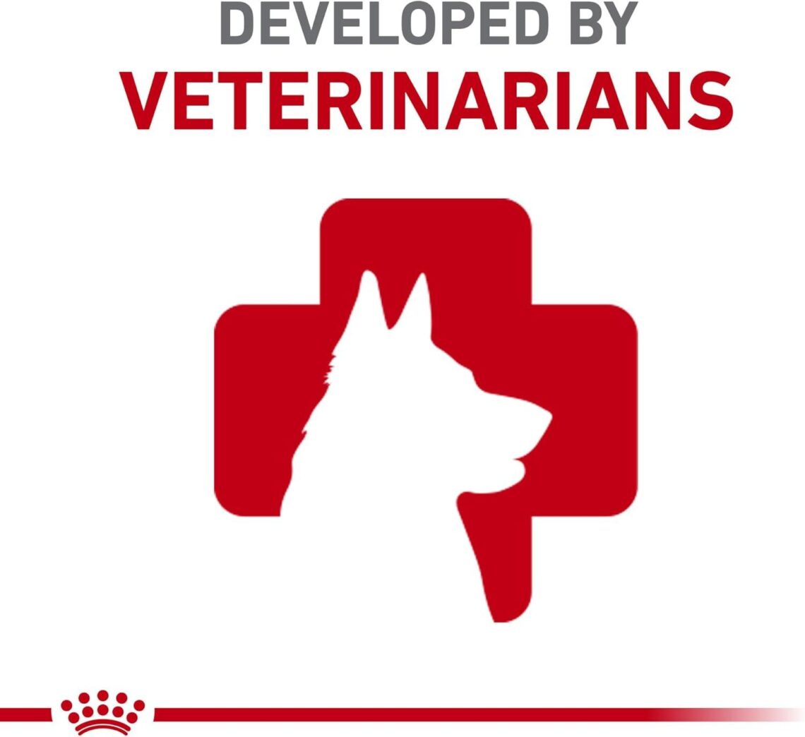Best Dog Food – Royal Canin Chihuahua Breed Specific Dry Food Review