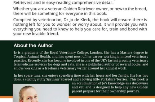 Best Golden Retriever Guide – Finding, Raising, Loving Your Puppy