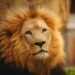 Lion’s Mane Supplement: The Easy Way to Boost Focus and Brain Power Naturally