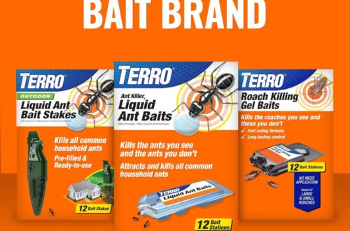 Best Indoor Ant Control – Terro Liquid Bait Stations T300B – Kills Entire Colony, 12 Count Review