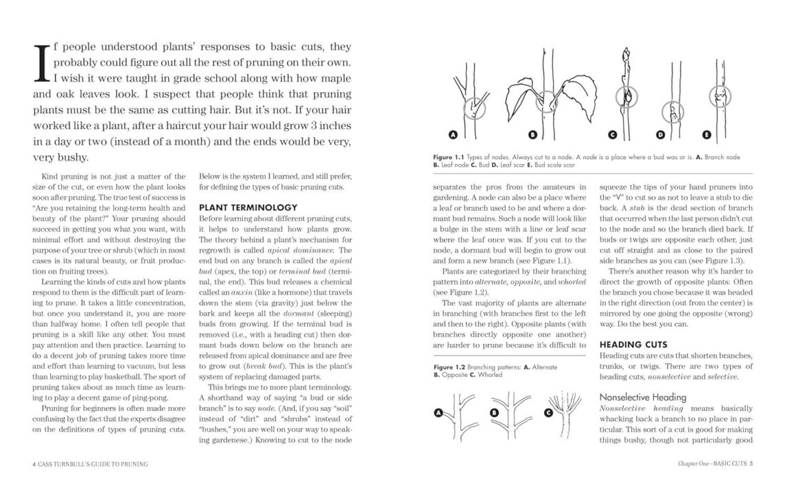 Best Garden Pruning Guide – Cass Turnbull’s 3rd Edition Review