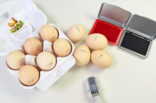 Best Egg Date Stamp Kit – Farm Fresh Egg Marking Review