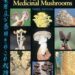 Best Gourmet and Medicinal Mushroom Growing Kit – Comprehensive Guide