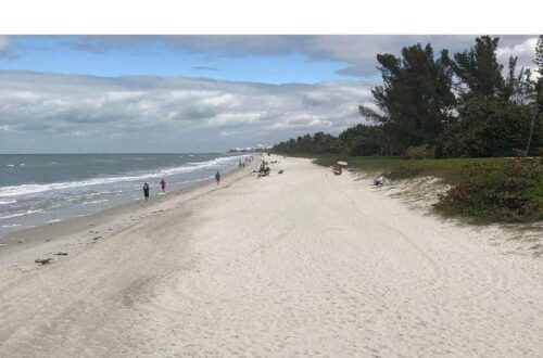 Best Travel Guide – The Best of Naples, FL (Tell It Like It Is Travel Book 3) Review