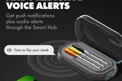 Best Wireless Meat Thermometer – CHEF iQ Sense | Review