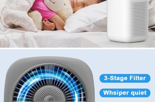 Best Air Purifiers – Priestley Small Home Bedroom Office Review
