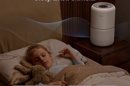 Best Air Purifier for Home Allergies and Pet Dander – Levoit Core300-P Review