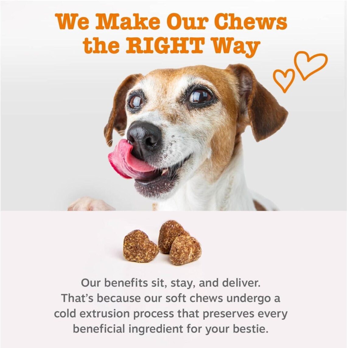 Best Dog Multivitamin – Zesty Paws Chewable Vitamins & Supplements