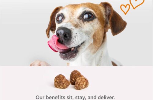 Best Dog Multivitamin – Zesty Paws Chewable Vitamins & Supplements