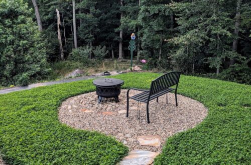 Best Lawn Ground Cover – Outsidepride Micro Clover Seeds Review