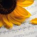 Remix of the Best Songs: The Ultimate Collection to Boost Your Mood and Dance All Night
