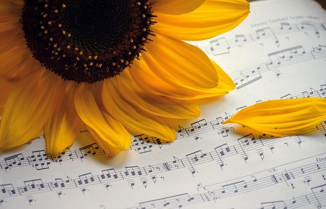 Remix of the Best Songs: The Ultimate Collection to Boost Your Mood and Dance All Night