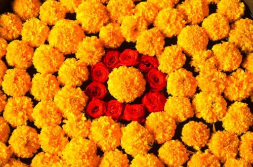 The Best Marigold Hotel Film: Why It’s a Heartwarming Comedy Everyone Loves
