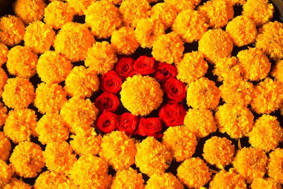The Best Marigold Hotel Film: Why It’s a Heartwarming Comedy Everyone Loves