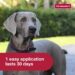 Best Flea and Tick Treatment – K9 Advantix II XL Dog Review