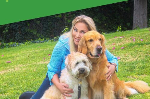 Best Pet Odor Remover – Simple Green Outdoor Odor Eliminator for Pets, Dogs (60 characters)