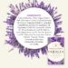Best Bath Soap – Yardley Lavender Gentle Cleansing & Relaxing Review
