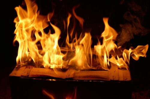 What is the Best Kindle Fire for Your Family’s Needs and Fun Browsing
