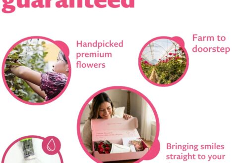 Best Flower Delivery – Aquarossa Farms – Fresh Roses for Gifting Review