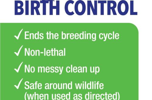 Best Rodent Control – Evolve Rat Birth Control Sausages 1.5 lbs Review