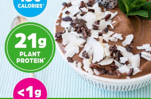 Best Protein Powder – Orgain Organic Vegan Creamy Chocolate Fudge Review