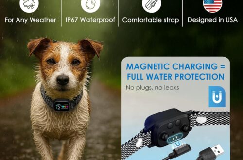 Best Bark Collars for Small Dogs 8-40 Ibs – Humane, No Shock Review