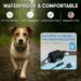 Best Bark Collars for Small Dogs 8-40 Ibs – Humane, No Shock Review