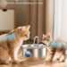 Best Cat Water Fountain – Stainless Steel: 88oz/2.6L Quiet Dispenser Review