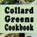 Best Collard Greens Cookbook – Delicious Recipes and Tips
