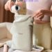 Best Hair Dryer – Laifen Ionic Travel & High-Speed Drying Review