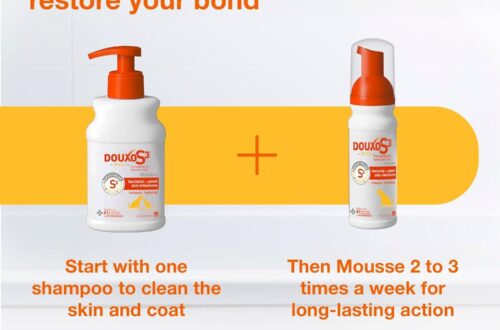 Best Dog Skin Infection Treatment – Douxo S3 PYO Shampoo & Mousse Review