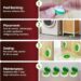 Best Pest Control – 80 Pack Roach Bait Indoor Infestation Review