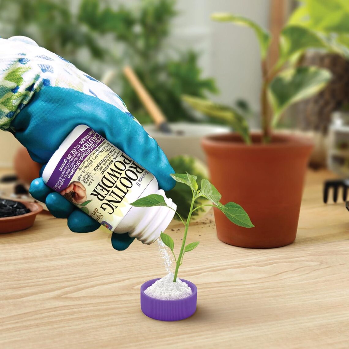 Best Plant Rooting Powder – Bonide Bontone II for Fast Transplants Reviews