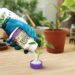 Best Plant Rooting Powder – Bonide Bontone II for Fast Transplants Reviews
