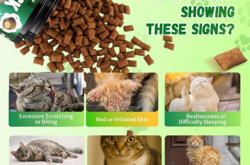 Best Cat Flea Treatment – Flea and Tick Prevention for Cats – 500 Chews with Skin & Coat Support – Natural Chicken Flavor Review
