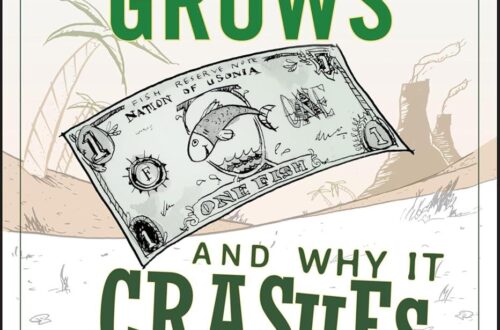 Best Economics Book – How an Economy Grows and Why It Crashes Review