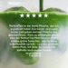 Best Matcha Powder – PerfectTed Ceremonial Grade 100g Review